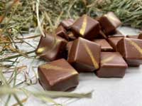 cioccolatini